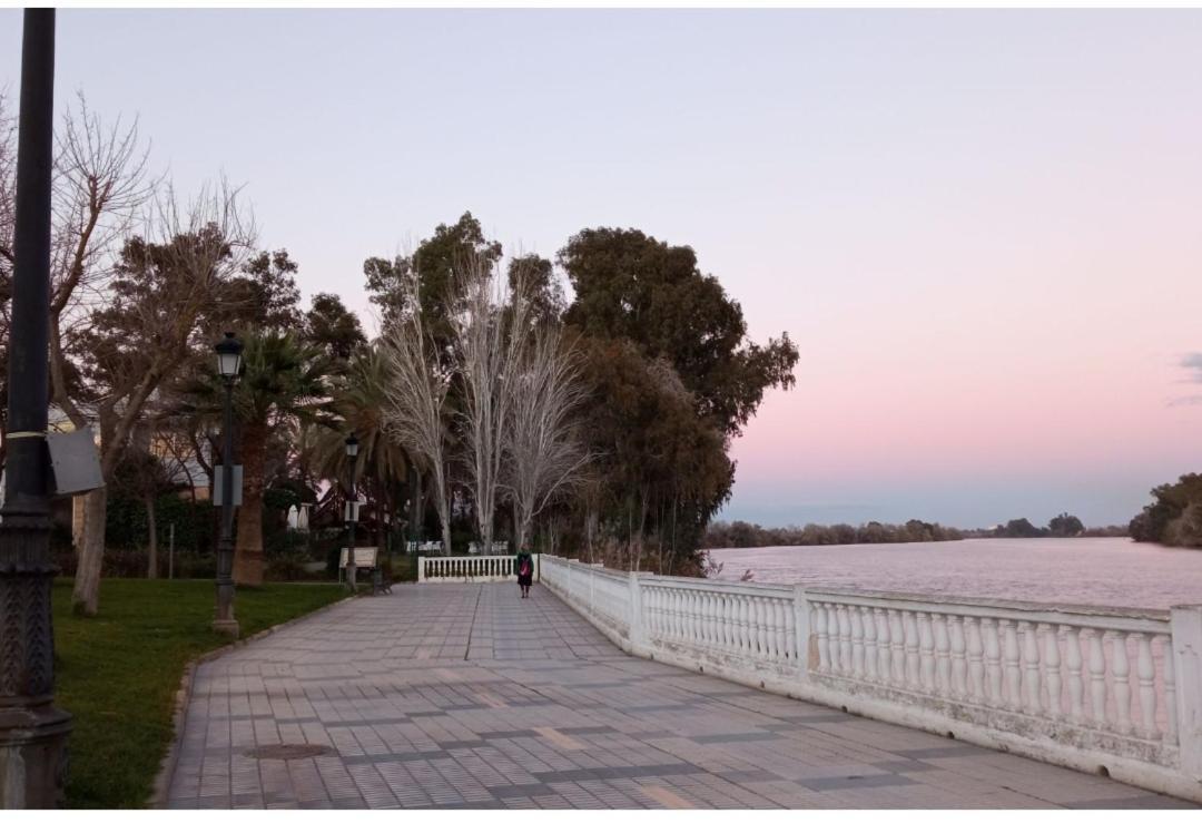 Amplia Y Luminosa Homestay